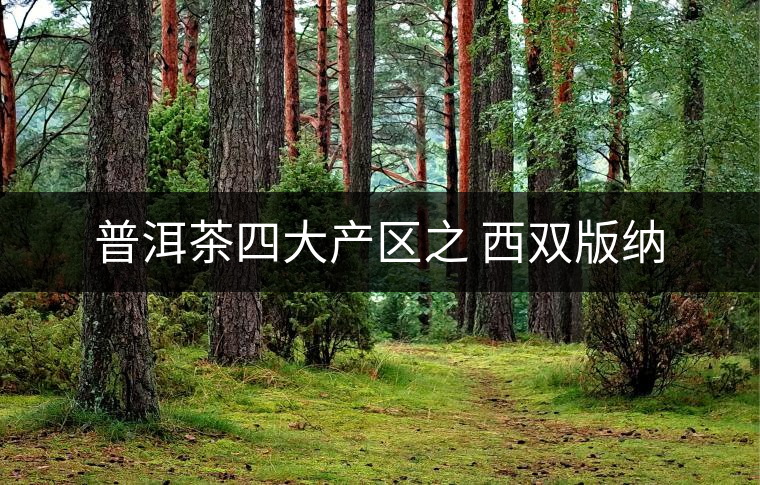 普洱茶四大產(chǎn)區(qū)之 西雙版納