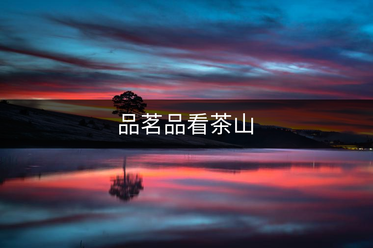 品茗品看茶山