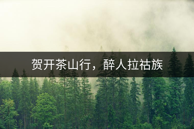 賀開茶山行，醉人拉祜族