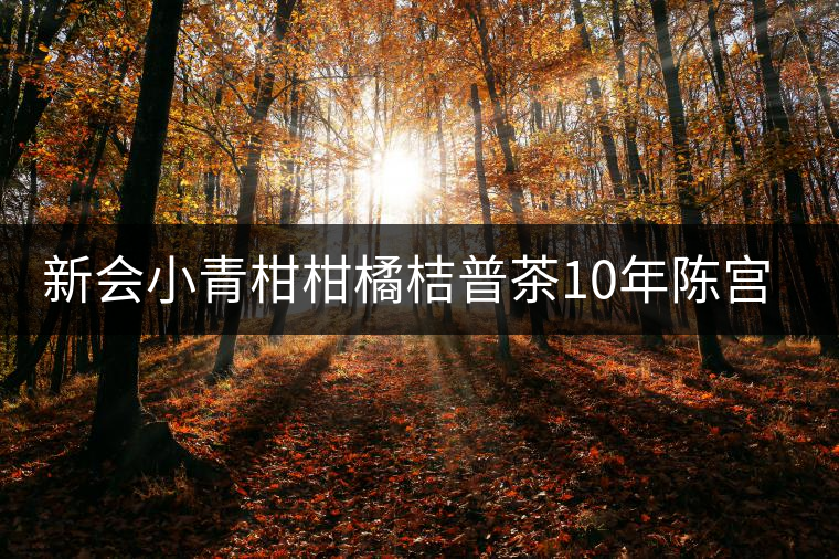 新會(huì)小青柑柑橘桔普茶10年陳宮廷陳皮普洱茶熟茶禮盒裝 皇譽(yù)茶葉