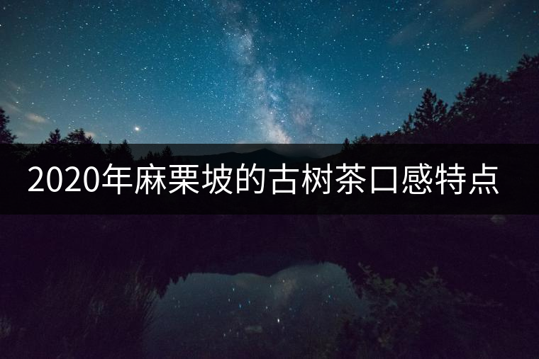 2020年麻栗坡的古樹茶口感特點是什么？