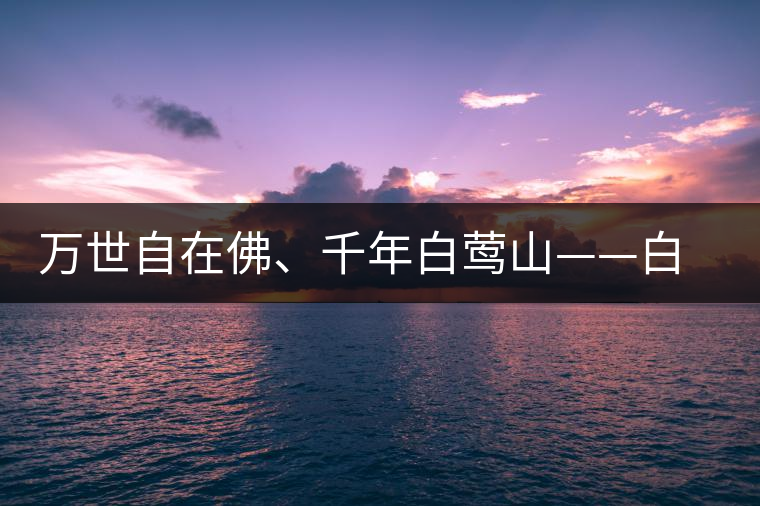 萬世自在佛、千年白鶯山——白鶯山古樹茶特點(diǎn)