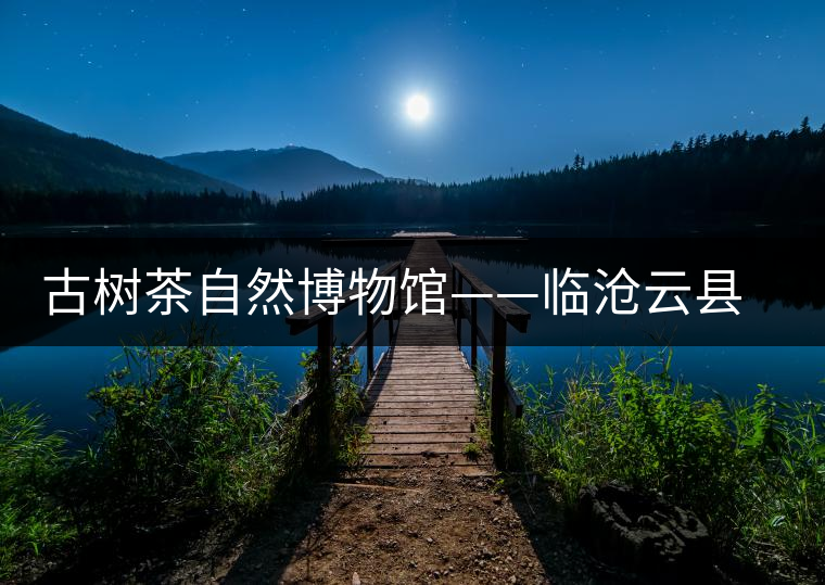 古樹茶自然博物館——臨滄云縣白鶯山