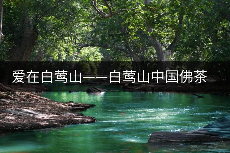 愛(ài)在白鶯山——白鶯山中國(guó)佛茶勝地