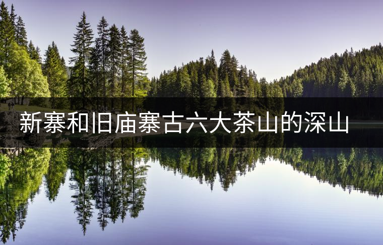 新寨和舊廟寨古六大茶山的深山之處