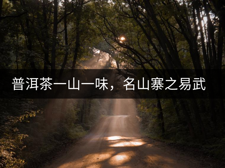 普洱茶一山一味，名山寨之易武彎弓瑤族丁家寨