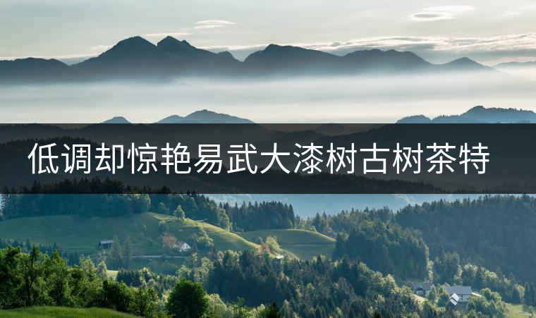 低調(diào)卻驚艷易武大漆樹古樹茶特點(diǎn)介紹