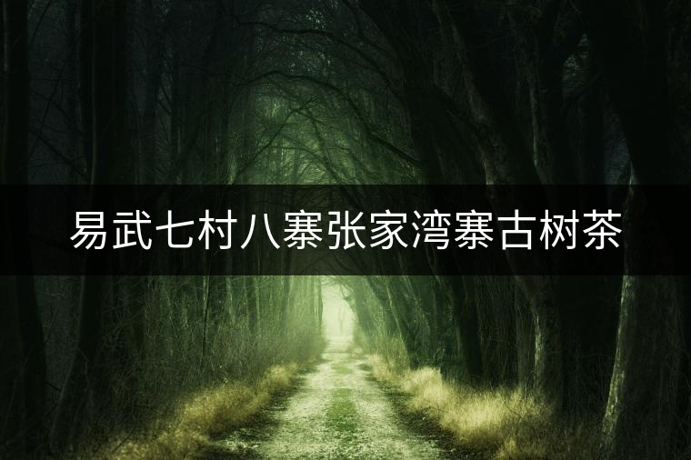 易武七村八寨張家灣寨古樹(shù)茶