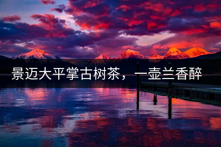 景邁大平掌古樹茶，一壺蘭香醉春秋