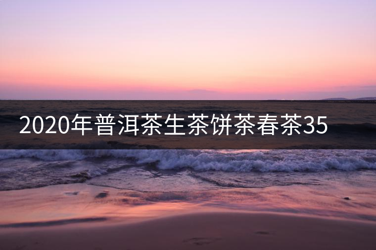 2020年普洱茶生茶餅茶春茶357克喬木弘聞春醒香柔甜買一送四包郵