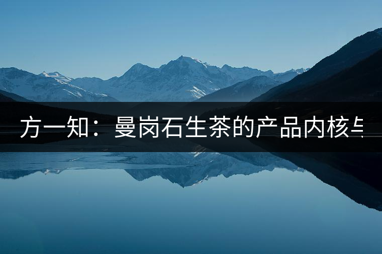 方一知：曼崗石生茶的產(chǎn)品內(nèi)核與發(fā)展方向，企業(yè)外腦如是觀——在2020石生古樹茶高端峰會(huì)上的發(fā)言