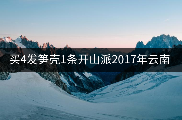 買4發(fā)筍殼1條開山派2017年云南勐海熟沱緊壓 普洱茶熟茶沱100g