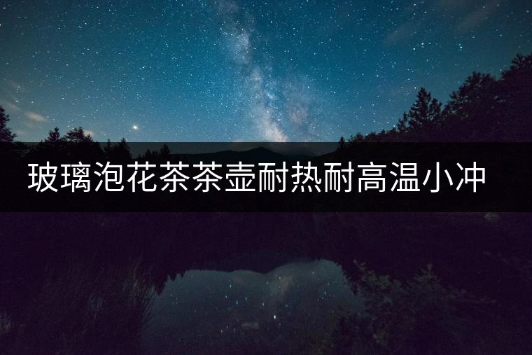 玻璃泡花茶茶壺耐熱耐高溫小沖茶器水壺過濾透明家用普洱茶具套裝 玻璃泡花茶茶壺耐熱耐高溫小沖茶器水壺過濾透明家用普洱茶具套裝