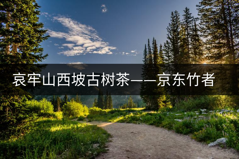 哀牢山西坡古樹茶——京東竹者村古樹茶特點