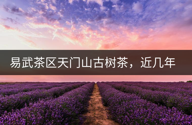 易武茶區(qū)天門山古樹(shù)茶，近幾年的熱門山頭