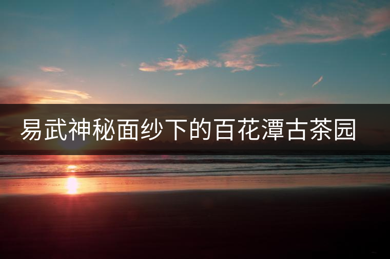 易武神秘面紗下的百花潭古茶園春茶探秘