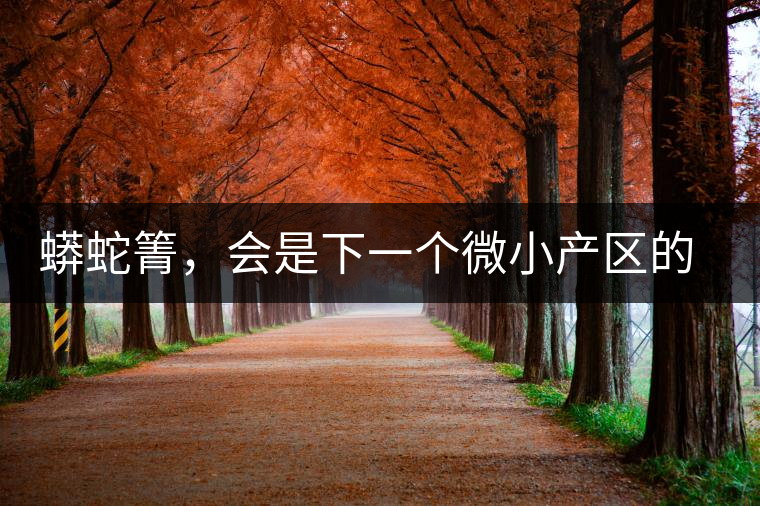 蟒蛇箐，會是下一個微小產(chǎn)區(qū)的熱門山頭嗎？