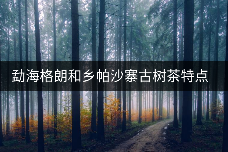 勐海格朗和鄉(xiāng)帕沙寨古樹(shù)茶特點(diǎn)介紹 勐海格朗和鄉(xiāng)帕沙寨古樹(shù)茶特點(diǎn)介紹
