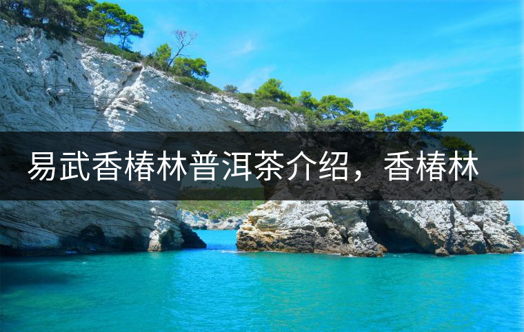 易武香椿林普洱茶介紹，香椿林古樹茶口感特點(diǎn)