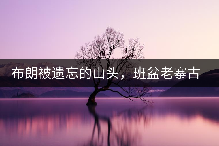 布朗被遺忘的山頭，班盆老寨古茶園介紹
