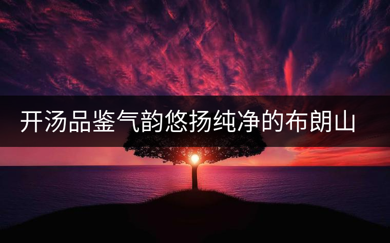 開湯品鑒氣韻悠揚純凈的布朗山古樹茶