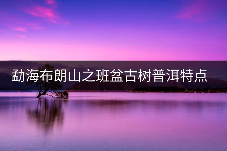 勐海布朗山之班盆古樹普洱特點介紹