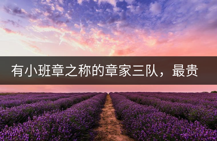 有小班章之稱的章家三隊(duì)，最貴的小樹茶