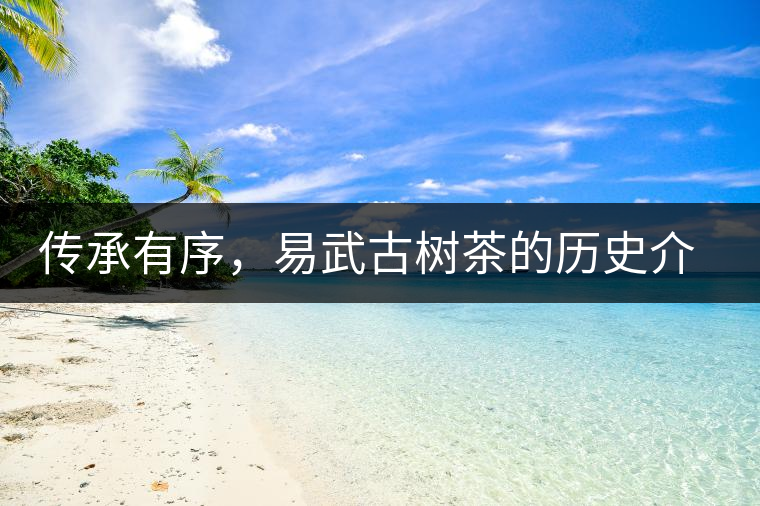 傳承有序，易武古樹茶的歷史介紹