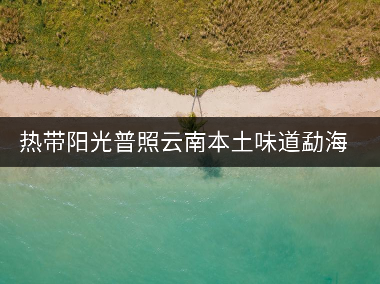 熱帶陽(yáng)光普照云南本土味道勐海南糯山曬紅古樹(shù)茶 熱帶陽(yáng)光普照云南本土味道勐海南糯山曬紅古樹(shù)茶