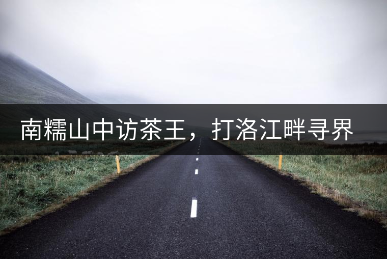 南糯山中訪茶王，打洛江畔尋界碑