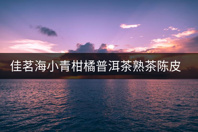 佳茗海小青柑橘普洱茶熟茶陳皮普洱新會(huì)小金桔柑普茶葉試喝體驗(yàn)裝 佳茗海小青柑橘普洱茶熟茶陳皮普洱新會(huì)小金桔柑普茶葉試喝體驗(yàn)裝