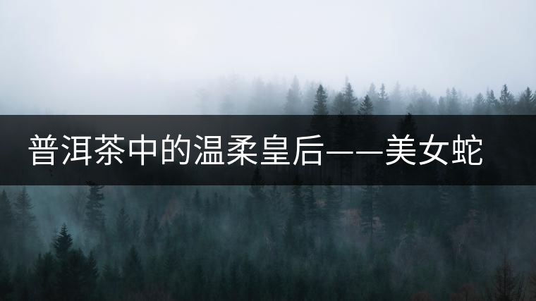 普洱茶中的溫柔皇后——美女蛇居住之地易武古樹(shù)茶區(qū)