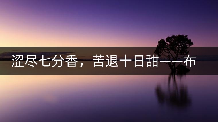 澀盡七分香，苦退十日甜——布朗山千年古寨曼新龍