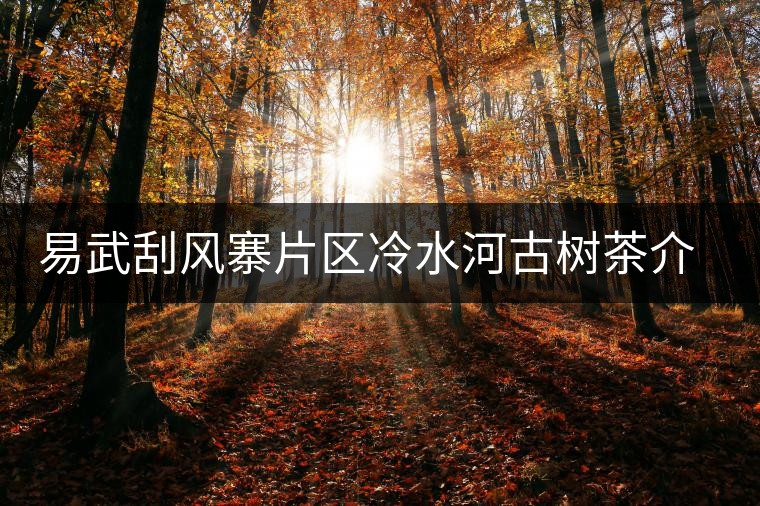 易武刮風(fēng)寨片區(qū)冷水河古樹茶介紹 易武刮風(fēng)寨片區(qū)冷水河古樹茶介紹