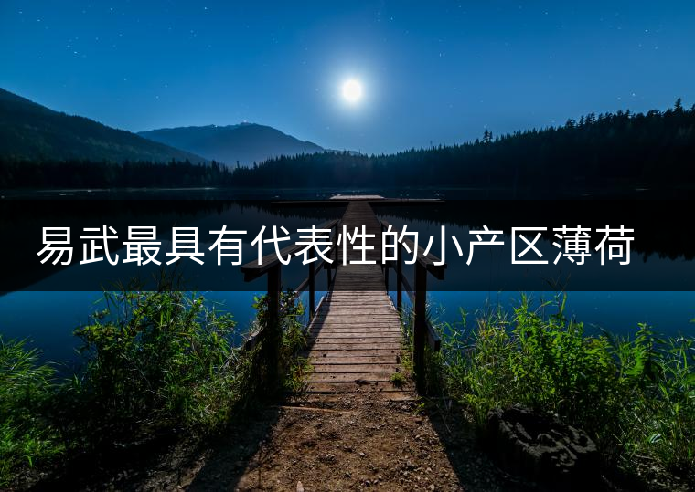 易武最具有代表性的小產(chǎn)區(qū)薄荷塘，一滴都不舍得浪費