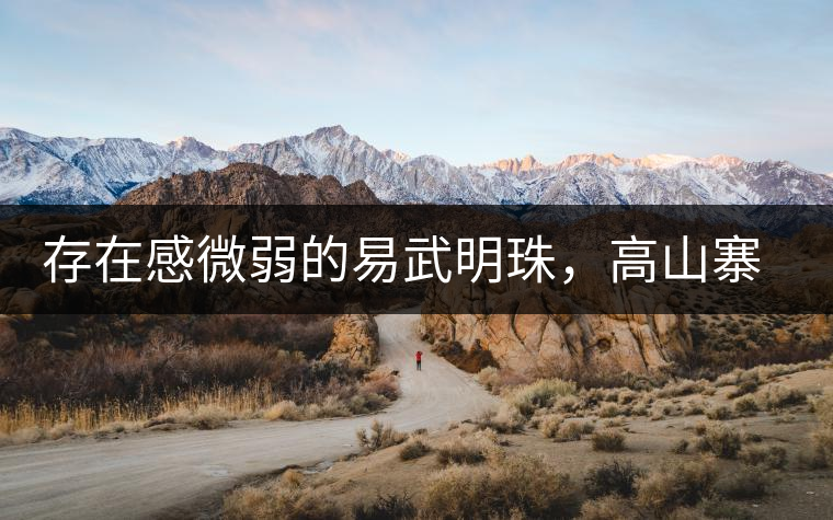 存在感微弱的易武明珠，高山寨古樹茶介紹