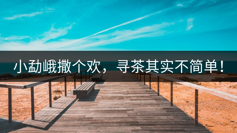 小勐峨撒個歡，尋茶其實不簡單！