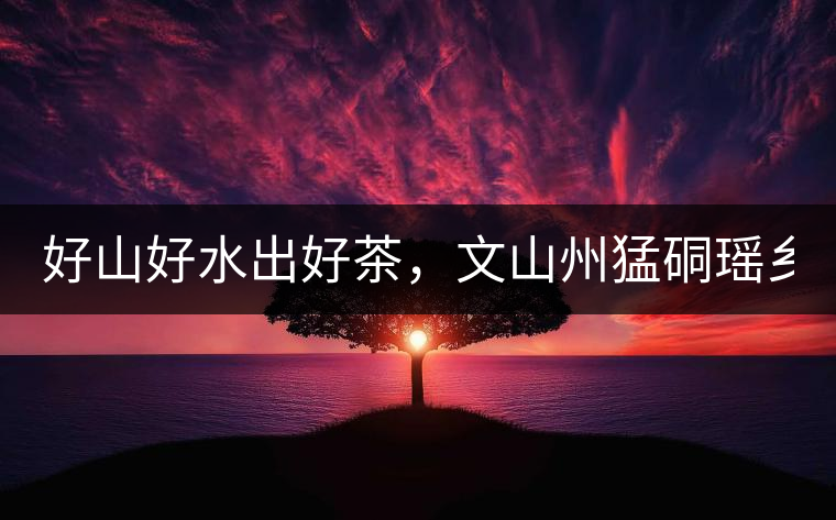 好山好水出好茶，文山州猛硐瑤鄉(xiāng)茶！