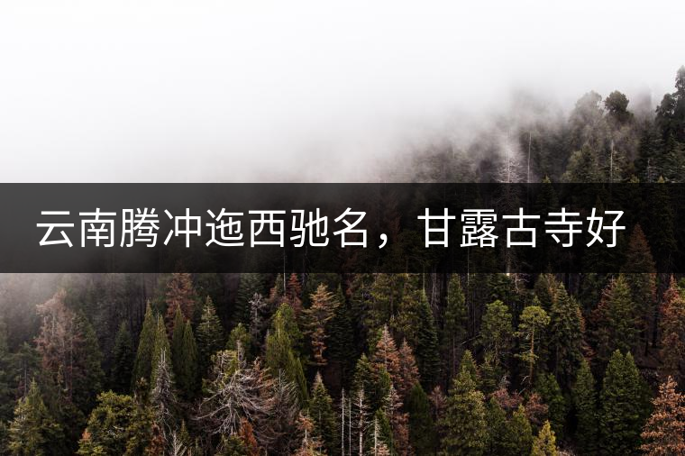 云南騰沖迤西馳名，甘露古寺好茶