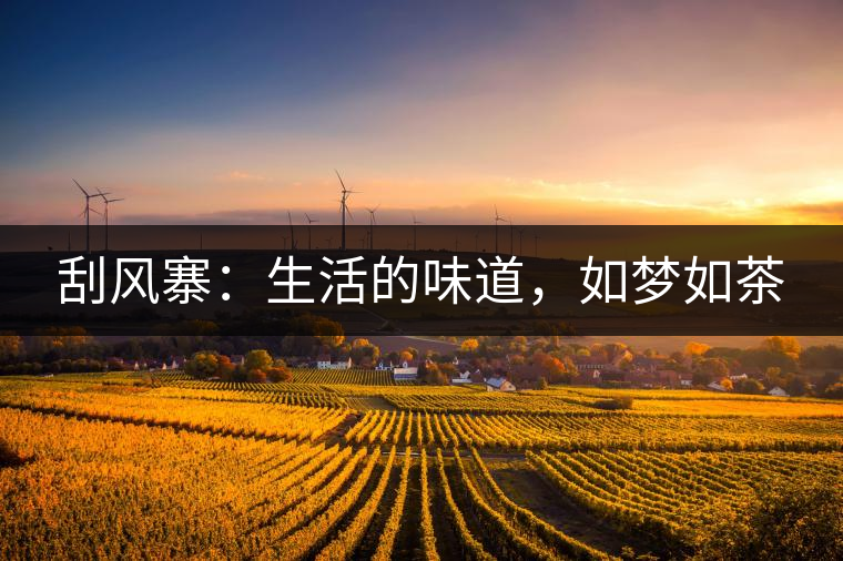 刮風(fēng)寨：生活的味道，如夢如茶