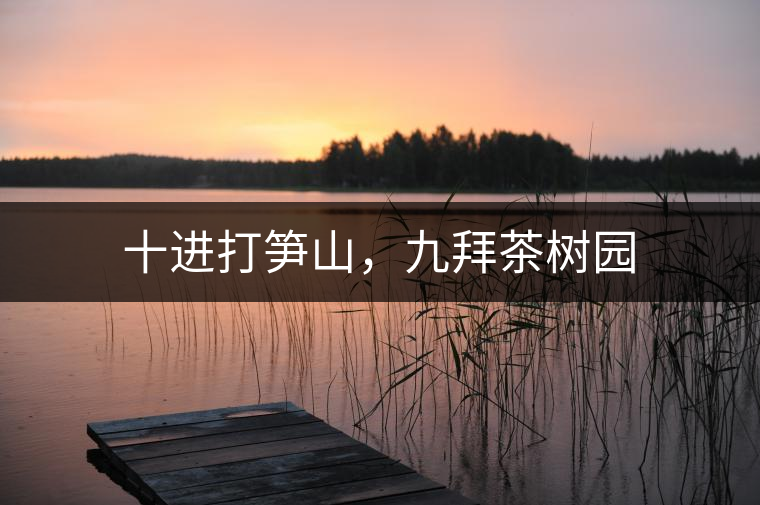 十進(jìn)打筍山，九拜茶樹(shù)園