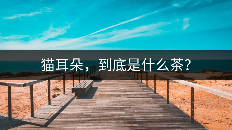 貓耳朵，到底是什么茶？
