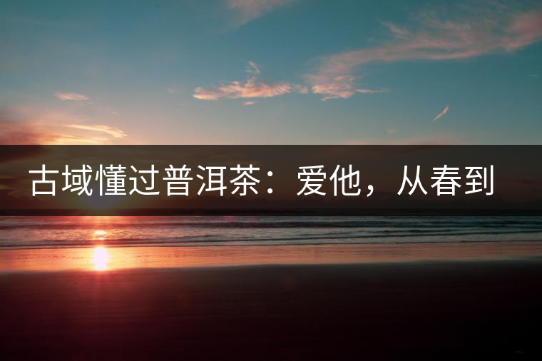 古域懂過普洱茶：愛他，從春到秋，從老到古！