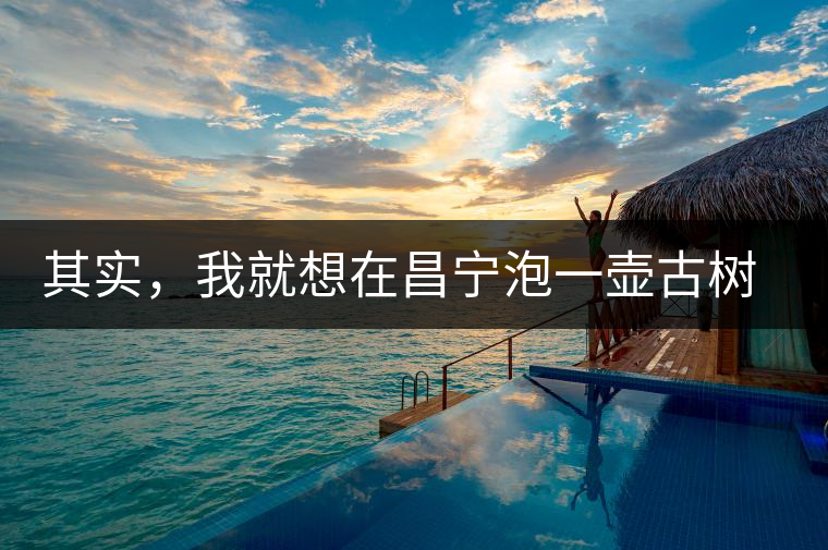 其實，我就想在昌寧泡一壺古樹茶
