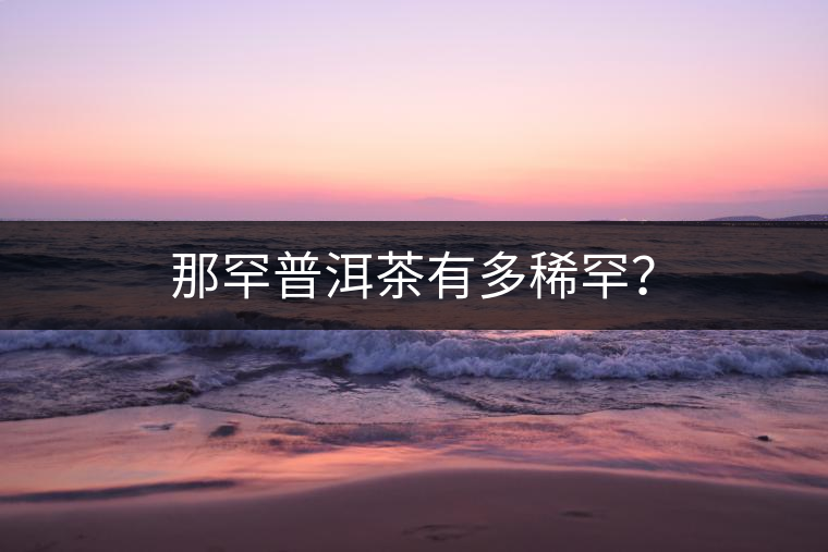 那罕普洱茶有多稀罕？