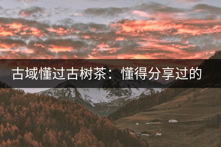 古域懂過(guò)古樹(shù)茶：懂得分享過(guò)的快樂(lè)，方為懂過(guò)
