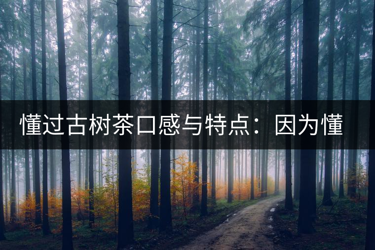懂過古樹茶口感與特點：因為懂得，所以舍得用余生來珍惜！