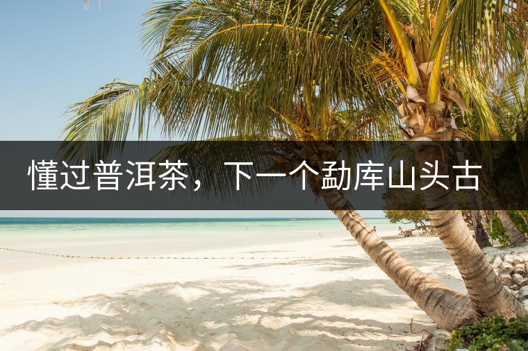 懂過(guò)普洱茶，下一個(gè)勐庫(kù)山頭古純的引爆點(diǎn)