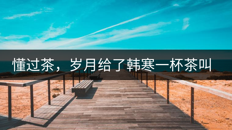 懂過茶，歲月給了韓寒一杯茶叫懂過