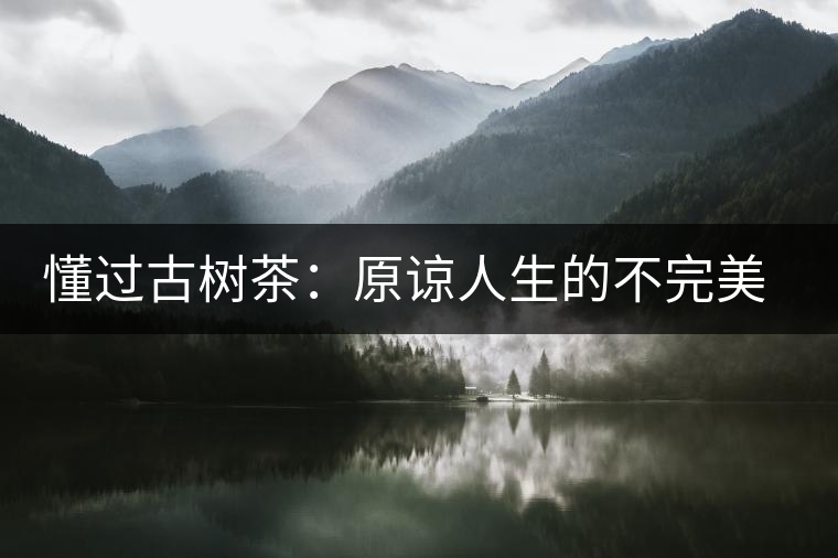 懂過古樹茶：原諒人生的不完美，多一次心靈的回歸！